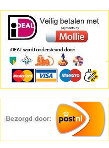 Betaal veilig en bezorgd met PostNL